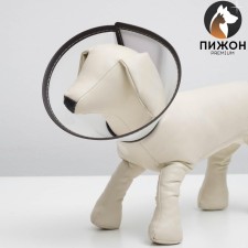 Veterinary collar 