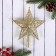 Tips "Star" patterned thawed, 14x16 cm, gold