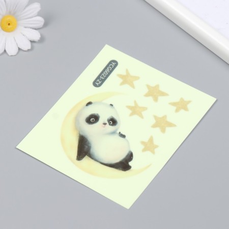 The plastic sticker glows in the darkness for the Panda switch for a month 10x12 cm-2
