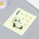 The plastic sticker glows in the darkness for the Panda switch for a month 10x12 cm