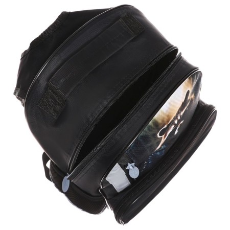 School backpack, 37 x 26 x 13 cm, ergonomic back, calligrata orth "raccoon"-14