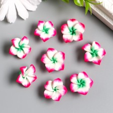 Beads for the creativity of PVC 