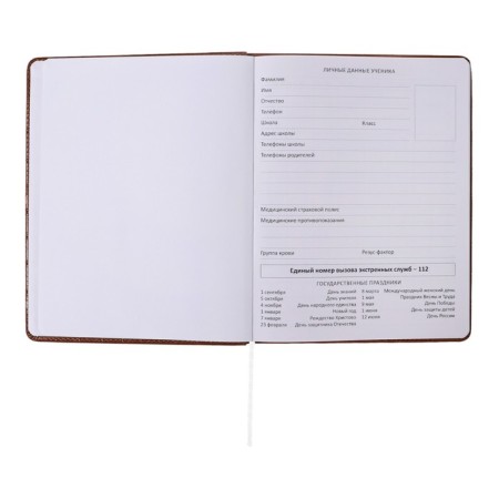 Universal diary for grade 1-11 Feel Inspired, solid cover, artificial leather, foam rubber, foil embossing, liesse, 80 g/m2-3