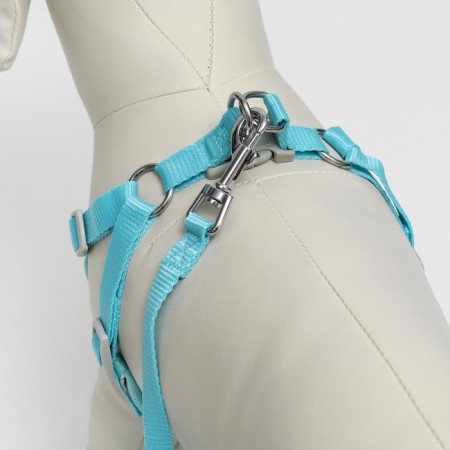 A set with a soft harness, fast-open, s, leash 140 cm, Osh 39-41 cm, og 44-48 cm, turquoise-3
