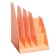 Vertical papers, 6 departments, Erichkrause "Regatta Pastel Bloom", peach