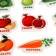Developing magnets “Studying colors and vegetables - fruits” (set 25 pcs)