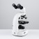 Microscope Laboratory multiplicity 40,100,400, backlight