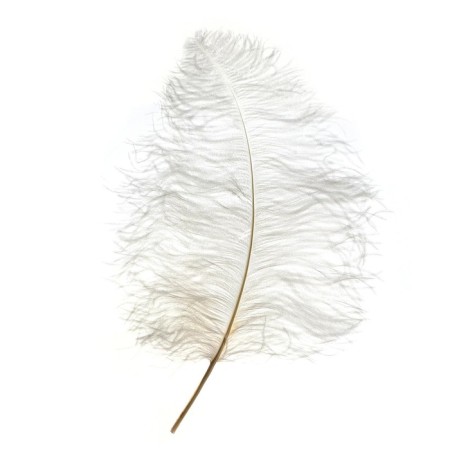 Feather for decor, length: from 45 to 60 cm, white color-4