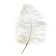 Feather for decor, length: from 45 to 60 cm, white color
