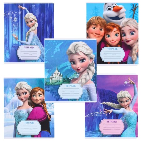 Notebook in a ruler of 12 sheets, 5 types of mix, cover coated cardboard, cold heart-4