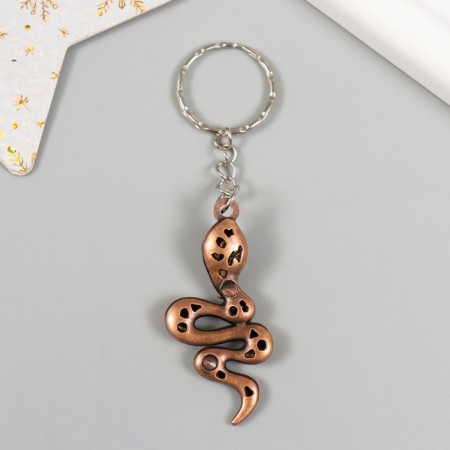 Metal keychain "Snake with rhinestones" mix 5.5x2 cm-3