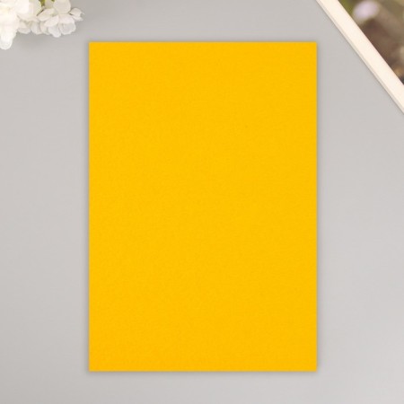A set of hard felt "Astra" (3 pcs) light-gorchic, 1 mm, 160 gr, 20x30 cm