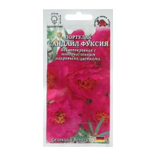 Flowers of Purslane 