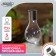 Garden lamp on the solar battery "Light bulb", 8 × 14 × 8 cm, 5 LED, glow white glow