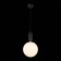Suspension lamp ST LUCE. SL1220.403.01. Rietta. 1x60 W, E27, 25x25x43 cm, black color