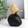 Polystone souvenir "Golden Sparrows on black strawberries" 13x10x7 cm