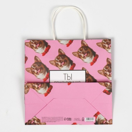 Gift package, packaging, Kisa, 22 x 22 x 11 cm-6