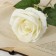 Artificial flowers "Bolivian rose" 8x55 cm, white