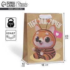 Package Gift Crafts Vertical, packaging, “Gift to you”, MS 18 x 23 x 8 cm
