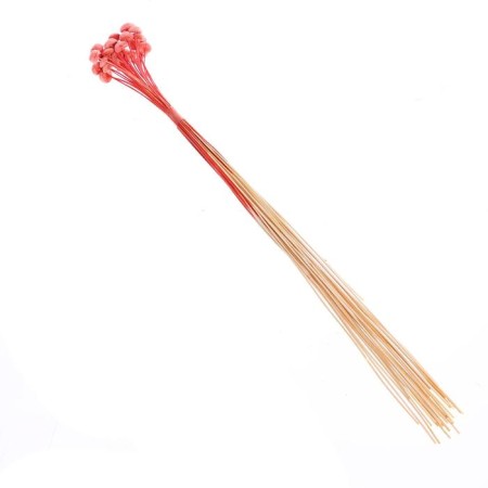 Sukhotzet "Batao" set 20 pcs., Red color-3