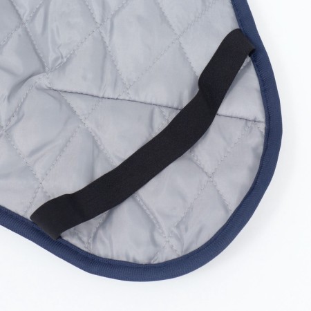 Popon for large dogs, membrane fabric, size 2xl (DS 43, Osh 46, OG 62-68 cm), blue-14