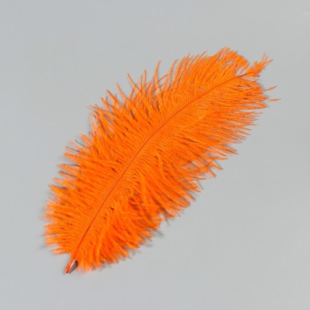 Feather of ostrich 15-20 cm, orange-1