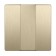Killeen set for a three-valve WL10SW-3G-CP switch, Shampan