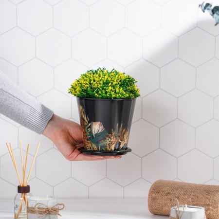 Pot for the flowers of the shade "Goldi", 800 ml, black color-8