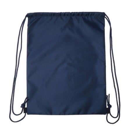 School standard, 33 x 25 x 13 cm, Grizzly, + bag for shoes, plush, blue-8