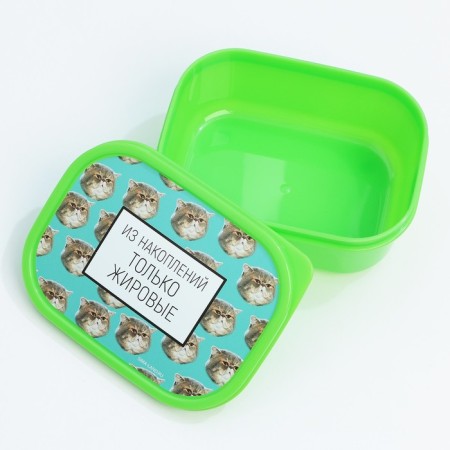 Gift set "Fat cats": thermostatic 350 ml., Lunch box 500 ml-3
