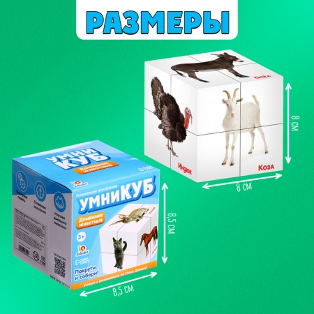 Developing transformer "smartik: pets"-4