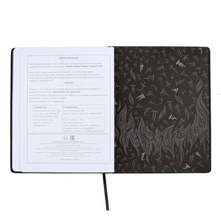 School diary for grades 1-11, fiery dragon, solid cover, artificial leather, application, pancake embossing, foil embossing, universal cheat sheet, 48 sheets, block 80g/m2-13