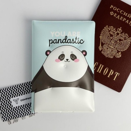 Set of Pandastic Winter!: Passport cover-area and diary-area-8
