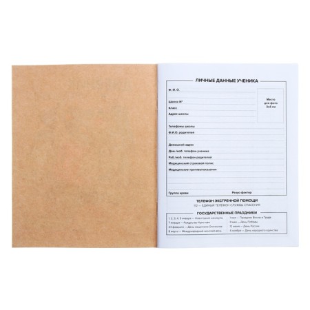 Universal diary for grades 1-11, 48 graffiti sheets, covering cartoon, selective UV-lame, matte lamination-4