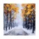 Picture on canvas "Forest Road" 50*50 cm