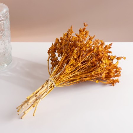 Set of dried flowers "chandra", banch length 40 (+/- 6 cm), mustard-3