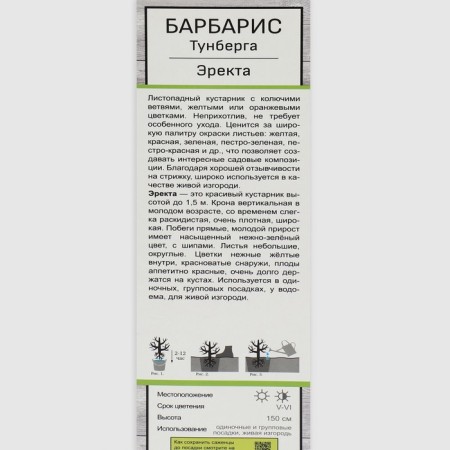Barberis Tunberg "Erekta" 1 pc, tube, spring 2025-1