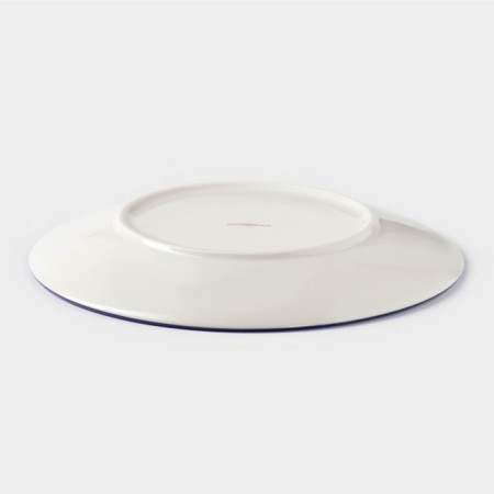 Poramic plate "Fleet", d = 21.7 cm, blue color-2