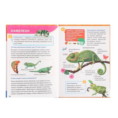 Encyclopedia for small pits "pets"-5
