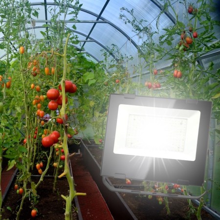 Phytoprotter for plants Fito-50W-RA90--led LED era for flowering and fruiting full-2