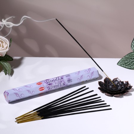 Incense hem "toad on money. Three Legged Frog", 20 packaging sticks, hexagon