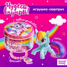 Surprise toy 