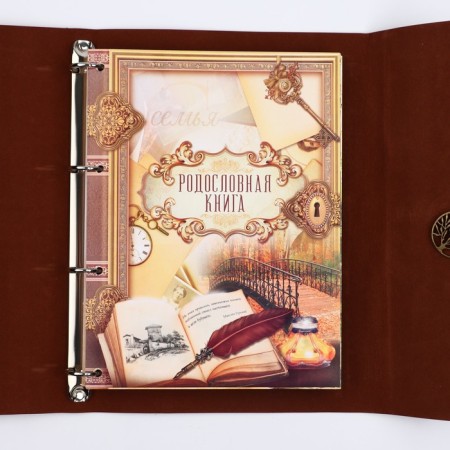 The genealogy book "Our Rod", 65 sheets, Bordeaux, 35 x 23.5 cm-5