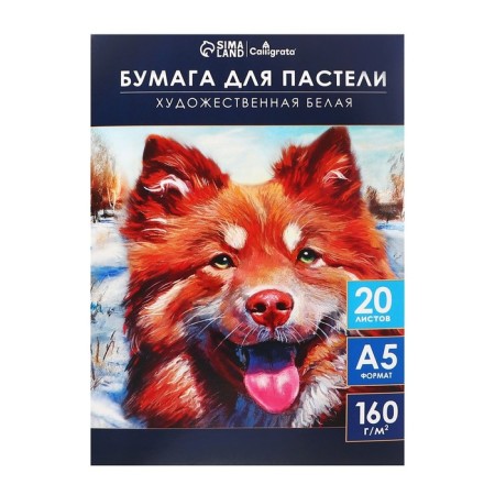 A5 pastel paper, 20 sheets "dog", block 160 g/m2, in the folder-1