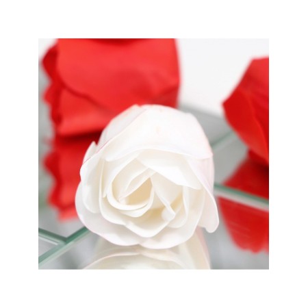 Soap roses, red and white, set of 9 pcs.-5