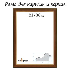 Frame for paintings (mirrors) 21 x 30 x 2.0 cm, plastic, calligrata plv, alder