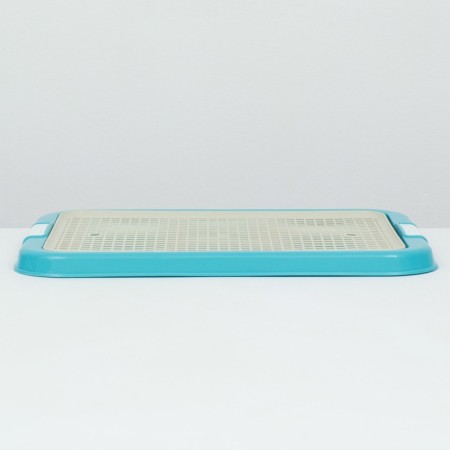 Dog toilet, 51 x 38 x 3 cm, blue-3