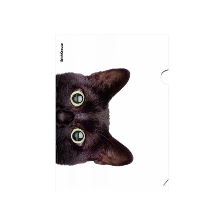 A4, 160 μm, Erichkrause "Hiding Cats", 4 design, mix-2