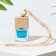The fragrance suspended in the bottle size XXL "Ice Fresh", 10ml