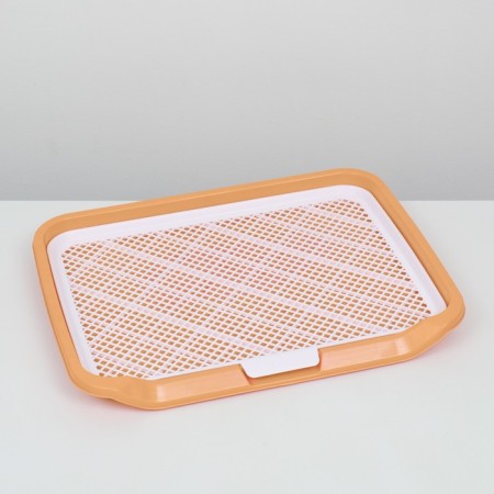 Dog toilet, 65 x 51 x 7 cm, orange-2